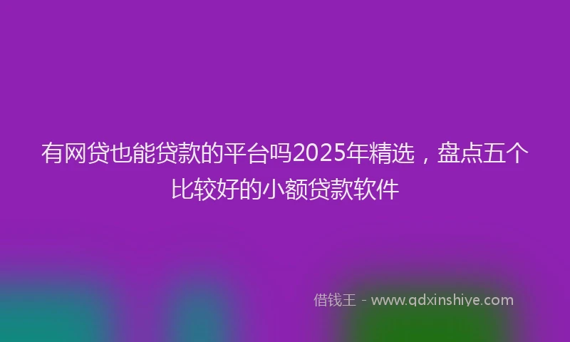 有网贷也能贷款的平台吗2025年精选，盘点五个比较好的小额贷款软件