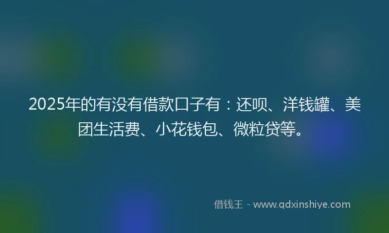 2025年的有没有借款口子有：还呗、洋钱罐、美团生活费、小花钱包、微粒贷等。
