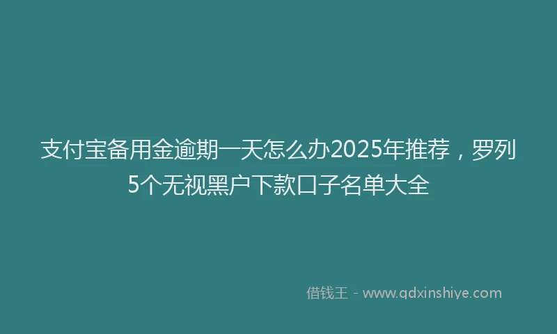 支付宝备用金逾期一天怎么办2025年推荐，罗列5个无视黑户下款口子名单大全