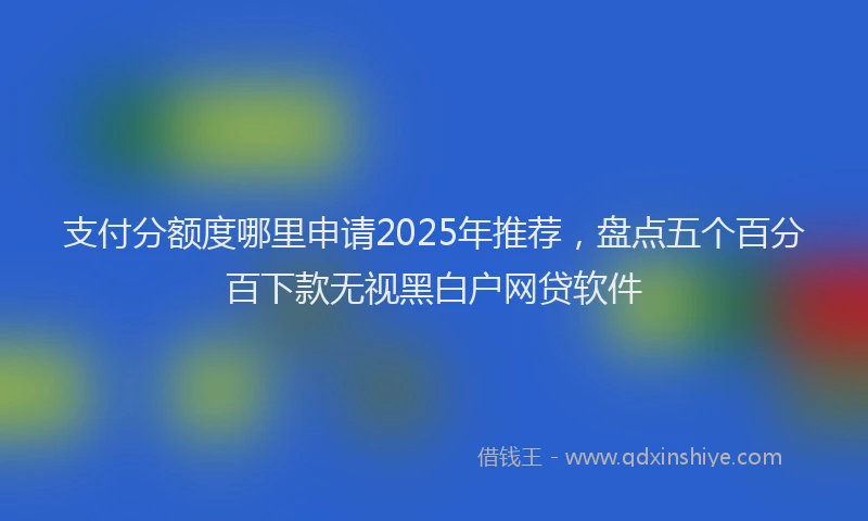 支付分额度哪里申请2025年推荐，盘点五个百分百下款无视黑白户网贷软件