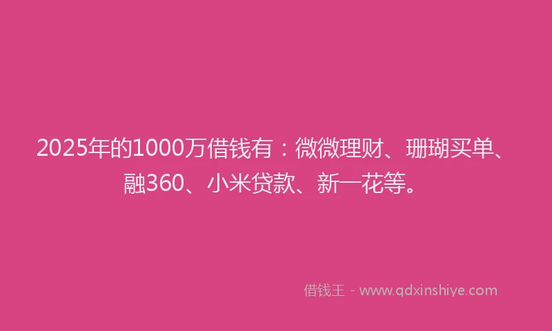 2025年的1000万借钱有：微微理财、珊瑚买单、融360、小米贷款、新一花等。