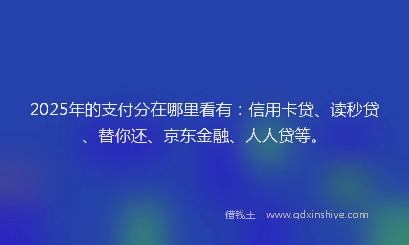 2025年的支付分在哪里看有：信用卡贷、读秒贷、替你还、京东金融、人人贷等。