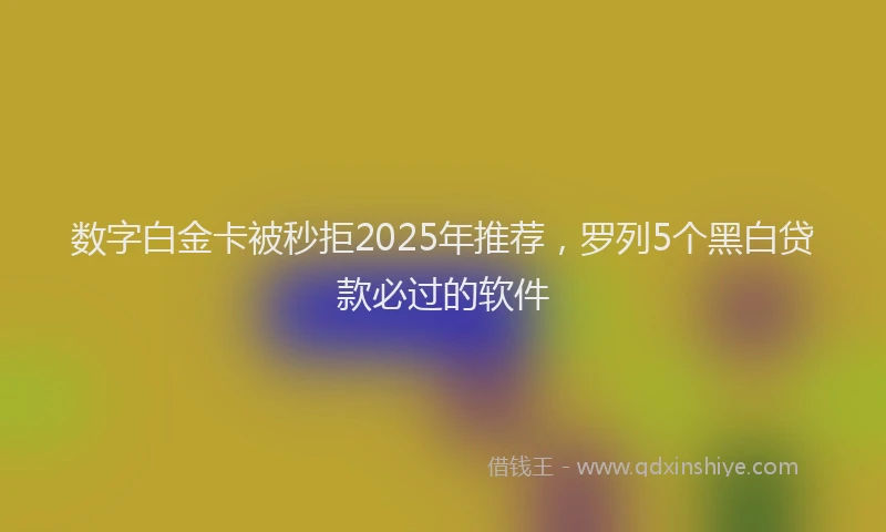数字白金卡被秒拒2025年推荐，罗列5个黑白贷款必过的软件