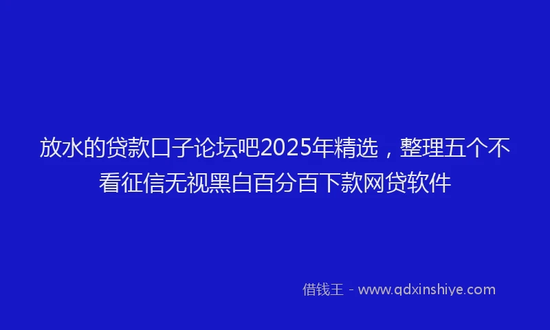 放水的贷款口子论坛吧2025年精选，整理五个不看征信无视黑白百分百下款网贷软件