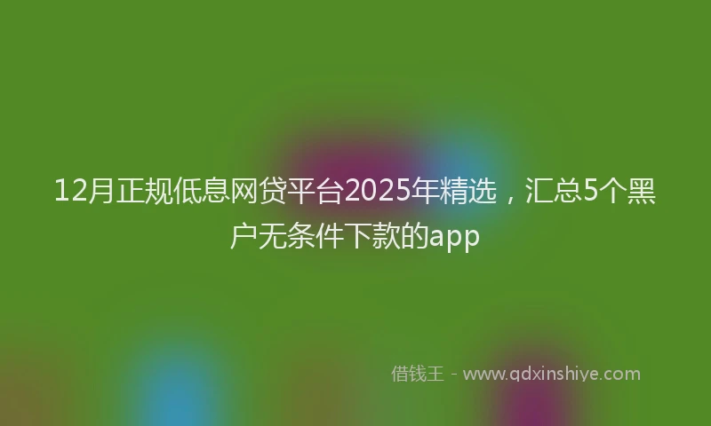 12月正规低息网贷平台2025年精选，汇总5个黑户无条件下款的app