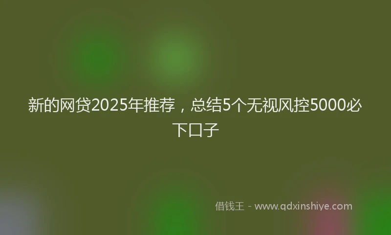 新的网贷2025年推荐，总结5个无视风控5000必下口子