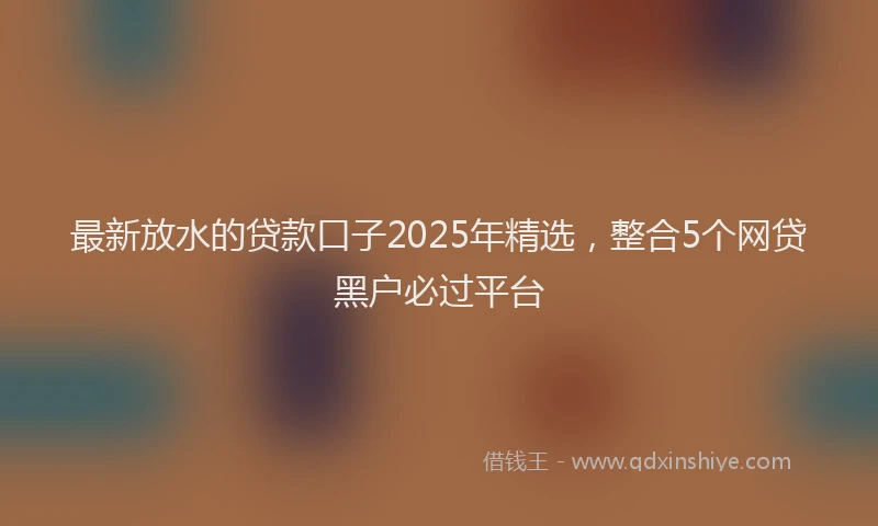 最新放水的贷款口子2025年精选，整合5个网贷黑户必过平台
