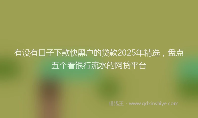 有没有口子下款快黑户的贷款2025年精选，盘点五个看银行流水的网贷平台