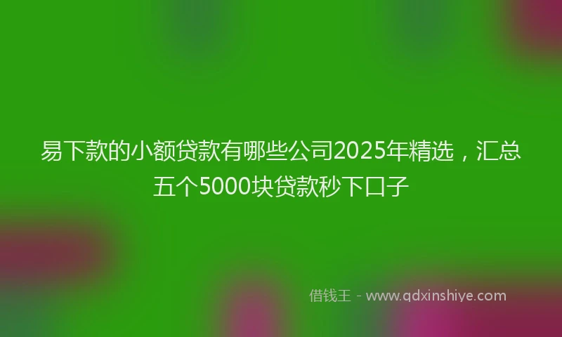 易下款的小额贷款有哪些公司2025年精选，汇总五个5000块贷款秒下口子
