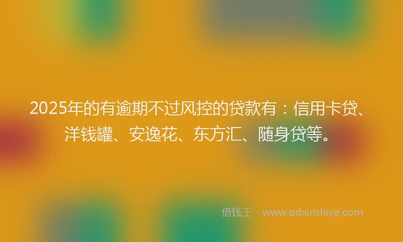 2025年的有逾期不过风控的贷款有：信用卡贷、洋钱罐、安逸花、东方汇、随身贷等。