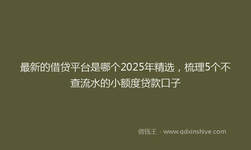 最新的借贷平台是哪个2025年精选，梳理5个不查流水的小额度贷款口子