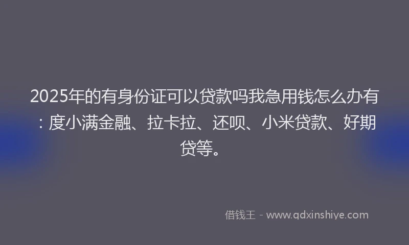 2025年的有身份证可以贷款吗我急用钱怎么办有：度小满金融、拉卡拉、还呗、小米贷款、好期贷等。