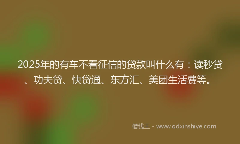 2025年的有车不看征信的贷款叫什么有：读秒贷、功夫贷、快贷通、东方汇、美团生活费等。