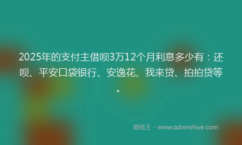 2025年的支付主借呗3万12个月利息多少有：还呗、平安口袋银行、安逸花、我来贷、拍拍贷等。