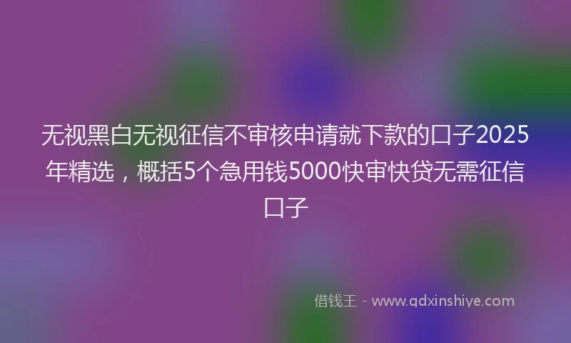 无视黑白无视征信不审核申请就下款的口子2025年精选，概括5个急用钱5000快审快贷无需征信口子