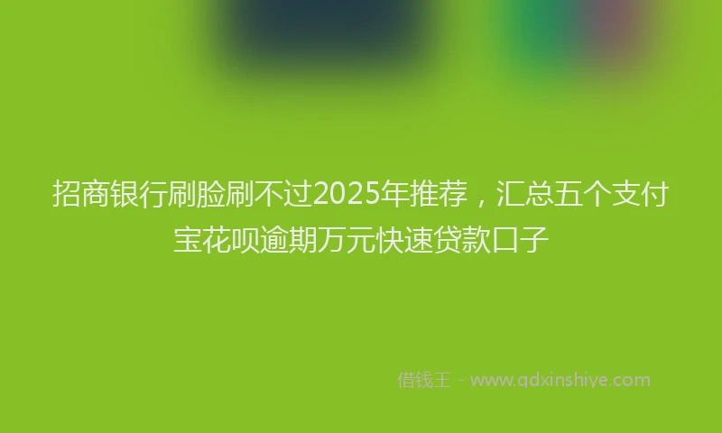 招商银行刷脸刷不过2025年推荐，汇总五个支付宝花呗逾期万元快速贷款口子