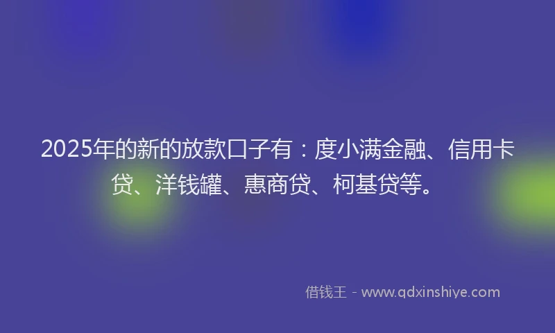 2025年的新的放款口子有：度小满金融、信用卡贷、洋钱罐、惠商贷、柯基贷等。