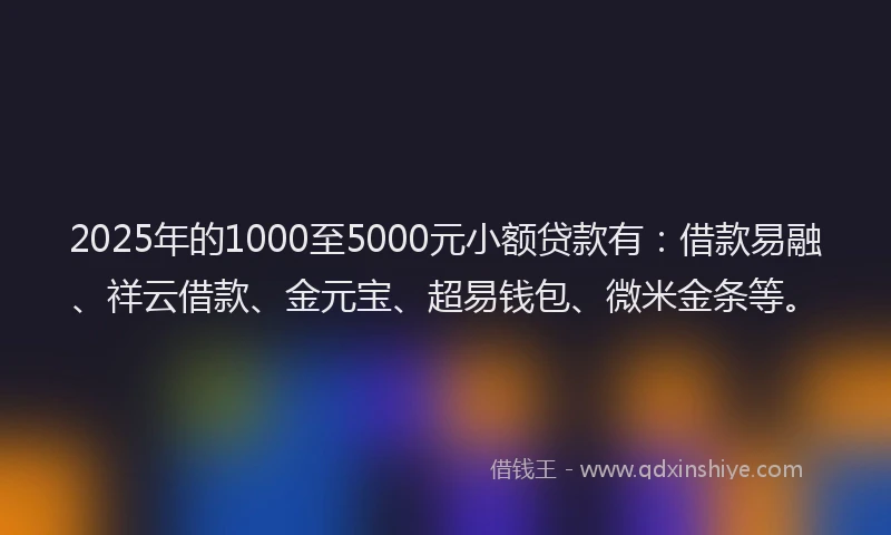 2025年的1000至5000元小额贷款有：借款易融、祥云借款、金元宝、超易钱包、微米金条等。