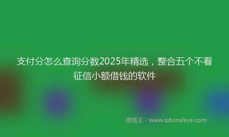 支付分怎么查询分数2025年精选，整合五个不看征信小额借钱的软件