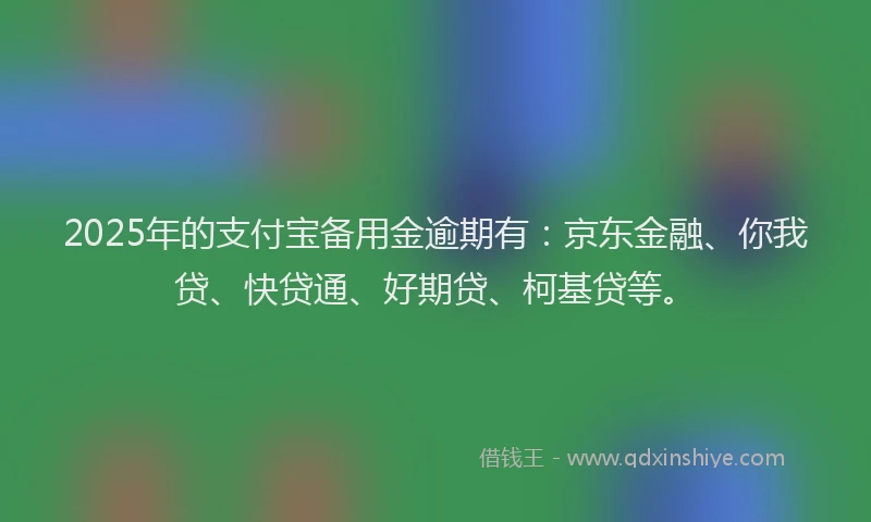 2025年的支付宝备用金逾期有：京东金融、你我贷、快贷通、好期贷、柯基贷等。