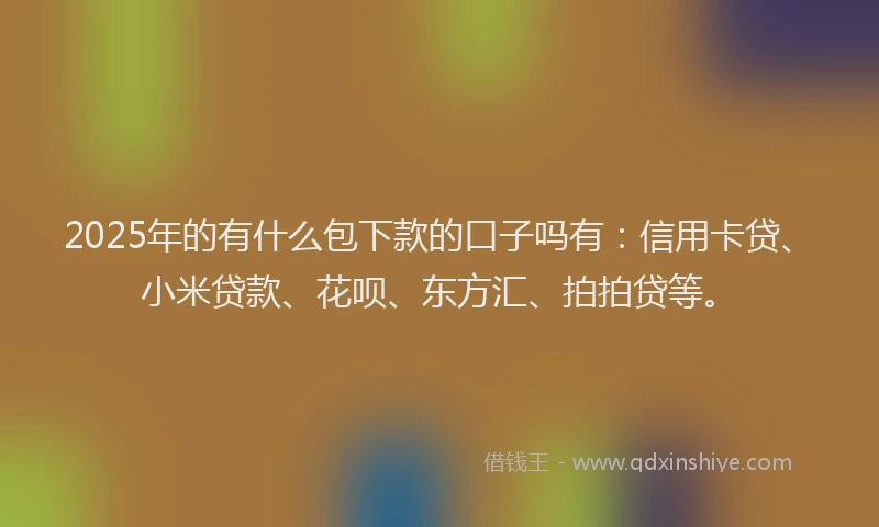 2025年的有什么包下款的口子吗有：信用卡贷、小米贷款、花呗、东方汇、拍拍贷等。