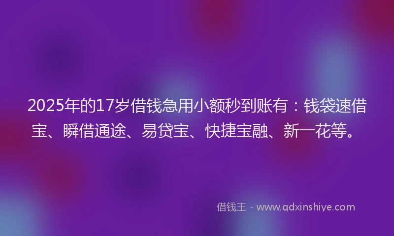 2025年的17岁借钱急用小额秒到账有：钱袋速借宝、瞬借通途、易贷宝、快捷宝融、新一花等。