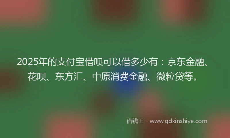 2025年的支付宝借呗可以借多少有：京东金融、花呗、东方汇、中原消费金融、微粒贷等。