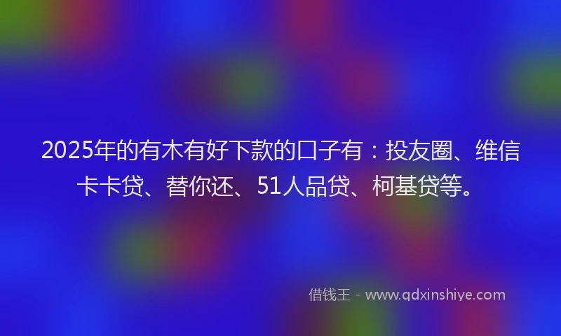 2025年的有木有好下款的口子有：投友圈、维信卡卡贷、替你还、51人品贷、柯基贷等。