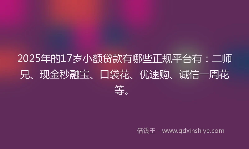 2025年的17岁小额贷款有哪些正规平台有：二师兄、现金秒融宝、口袋花、优速购、诚信一周花等。