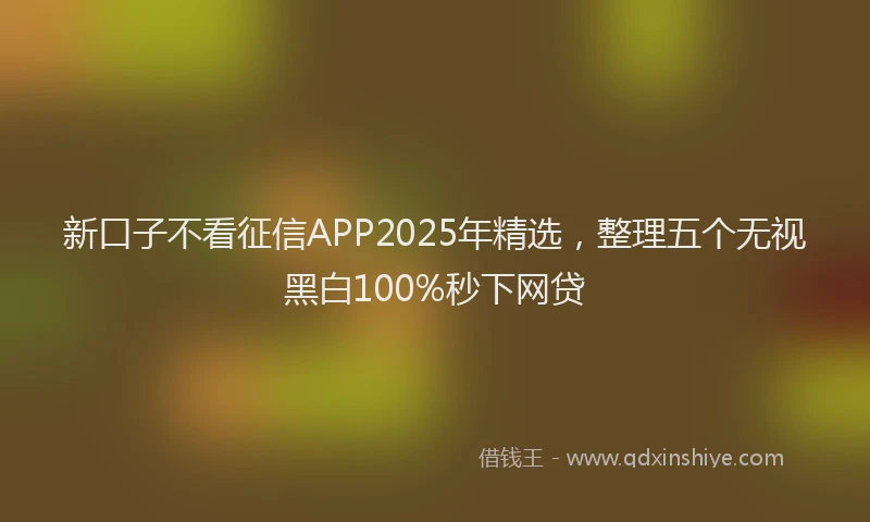 新口子不看征信APP2025年精选，整理五个无视黑白100%秒下网贷