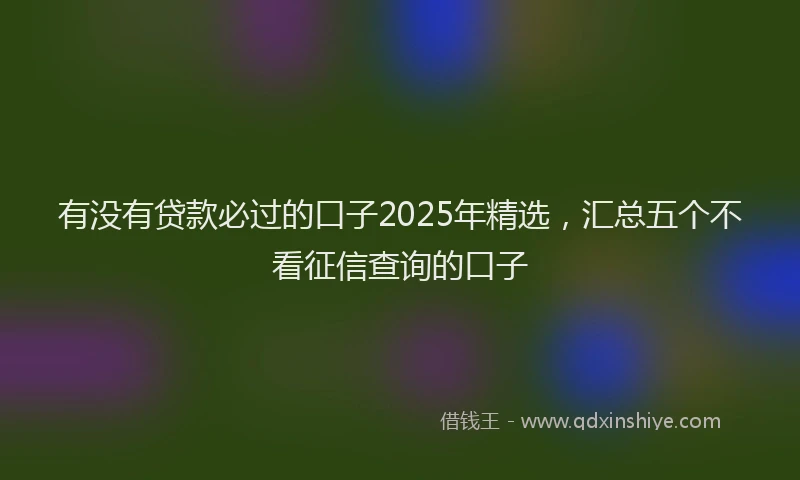 有没有贷款必过的口子2025年精选，汇总五个不看征信查询的口子