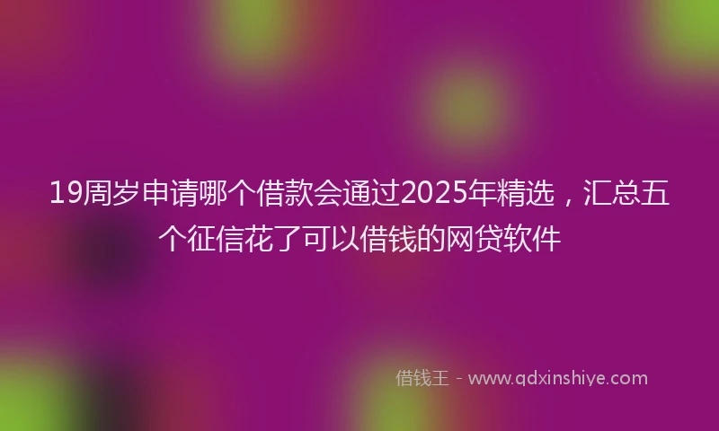 19周岁申请哪个借款会通过2025年精选，汇总五个征信花了可以借钱的网贷软件