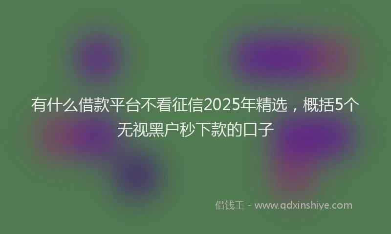 有什么借款平台不看征信2025年精选，概括5个无视黑户秒下款的口子