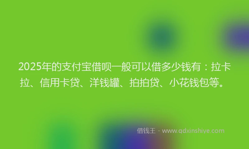 2025年的支付宝借呗一般可以借多少钱有：拉卡拉、信用卡贷、洋钱罐、拍拍贷、小花钱包等。