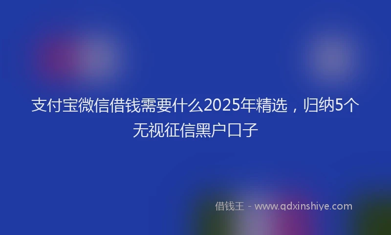 支付宝微信借钱需要什么2025年精选，归纳5个无视征信黑户口子
