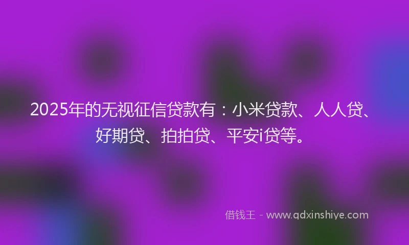 2025年的无视征信贷款有：小米贷款、人人贷、好期贷、拍拍贷、平安i贷等。