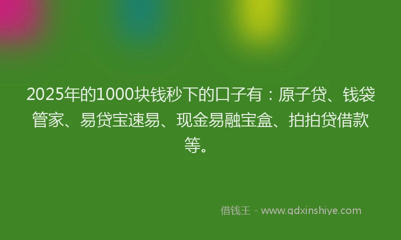 2025年的1000块钱秒下的口子有：原子贷、钱袋管家、易贷宝速易、现金易融宝盒、拍拍贷借款等。