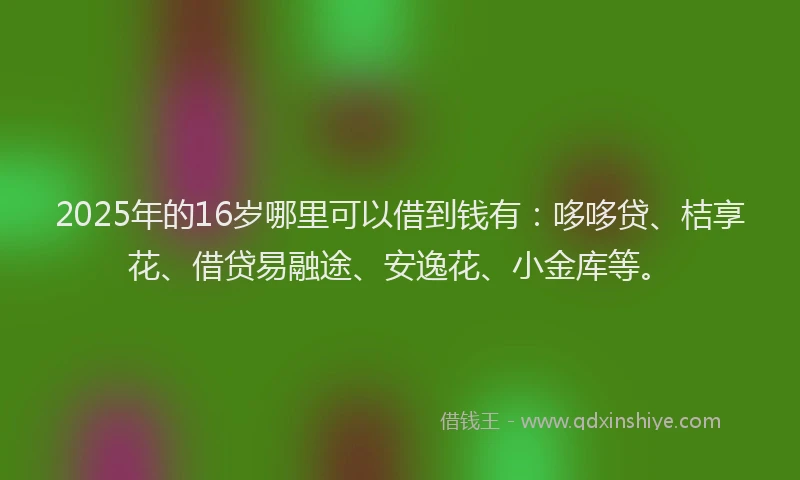 2025年的16岁哪里可以借到钱有：哆哆贷、桔享花、借贷易融途、安逸花、小金库等。
