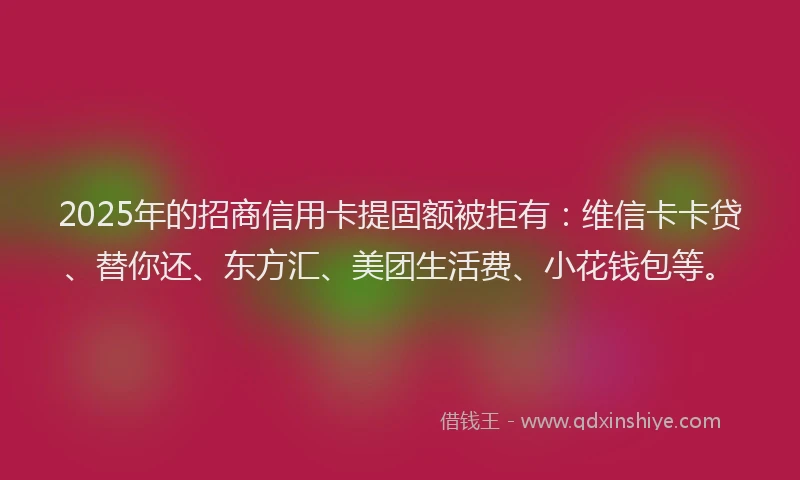 2025年的招商信用卡提固额被拒有：维信卡卡贷、替你还、东方汇、美团生活费、小花钱包等。