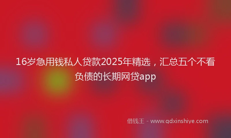 16岁急用钱私人贷款2025年精选，汇总五个不看负债的长期网贷app