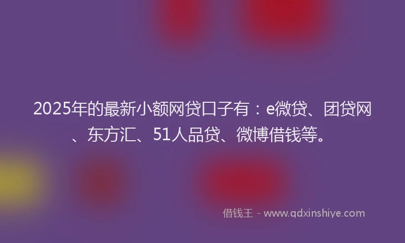 2025年的最新小额网贷口子有：e微贷、团贷网、东方汇、51人品贷、微博借钱等。