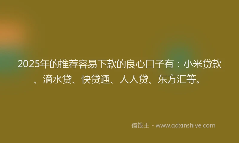2025年的推荐容易下款的良心口子有：小米贷款、滴水贷、快贷通、人人贷、东方汇等。