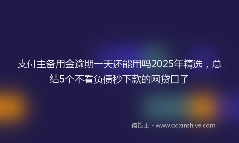 支付主备用金逾期一天还能用吗2025年精选，总结5个不看负债秒下款的网贷口子