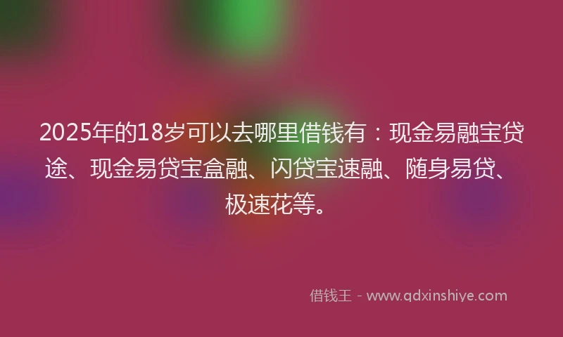 2025年的18岁可以去哪里借钱有：现金易融宝贷途、现金易贷宝盒融、闪贷宝速融、随身易贷、极速花等。