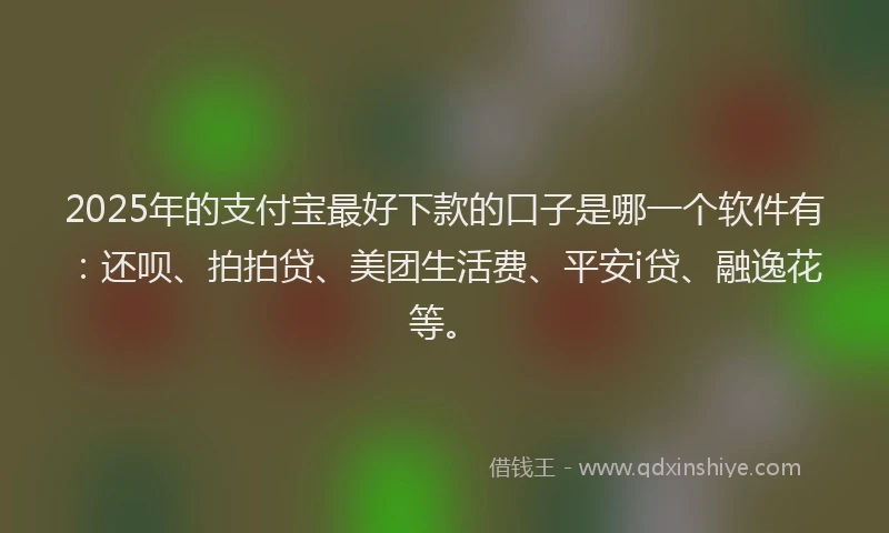 2025年的支付宝最好下款的口子是哪一个软件有：还呗、拍拍贷、美团生活费、平安i贷、融逸花等。