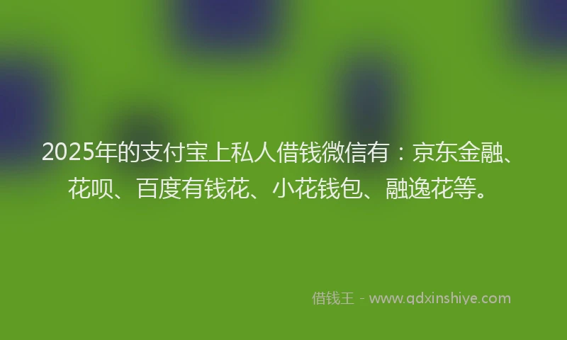 2025年的支付宝上私人借钱微信有：京东金融、花呗、百度有钱花、小花钱包、融逸花等。