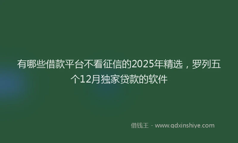 有哪些借款平台不看征信的2025年精选，罗列五个12月独家贷款的软件