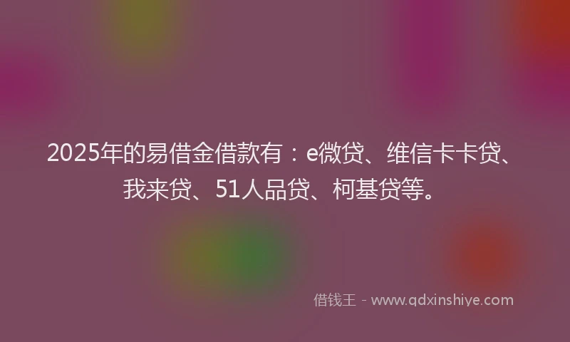 2025年的易借金借款有：e微贷、维信卡卡贷、我来贷、51人品贷、柯基贷等。