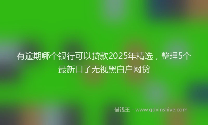 有逾期哪个银行可以贷款2025年精选，整理5个最新口子无视黑白户网贷
