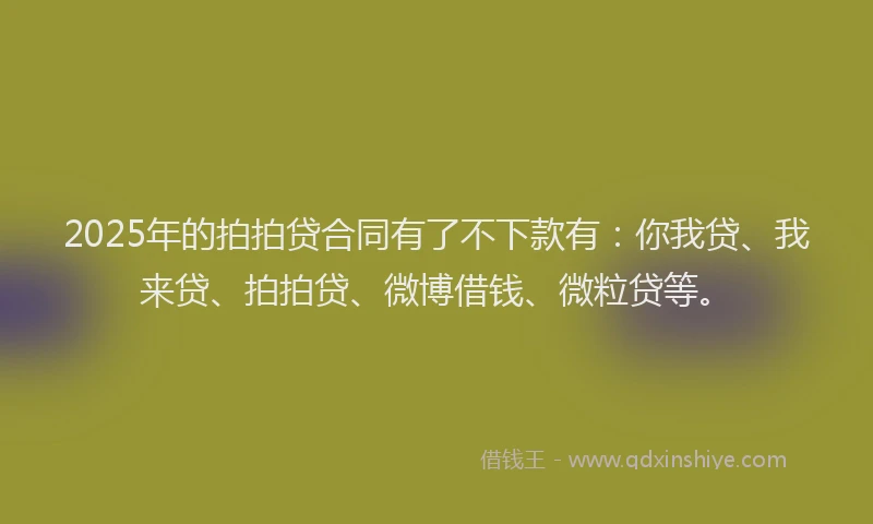 2025年的拍拍贷合同有了不下款有：你我贷、我来贷、拍拍贷、微博借钱、微粒贷等。